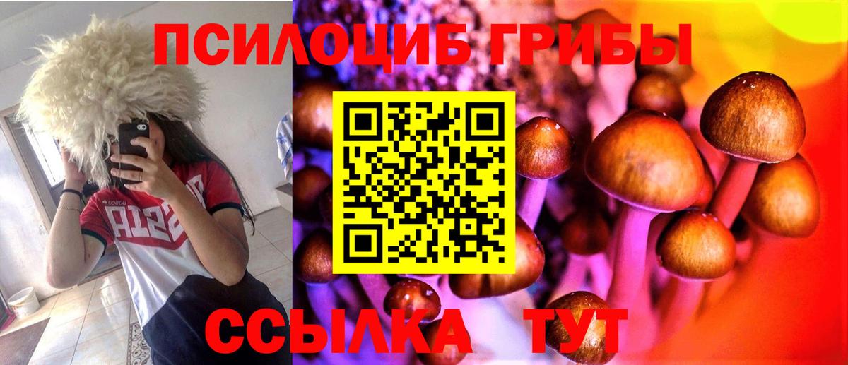 Псилоцибиновые грибы прущие грибы Медногорск